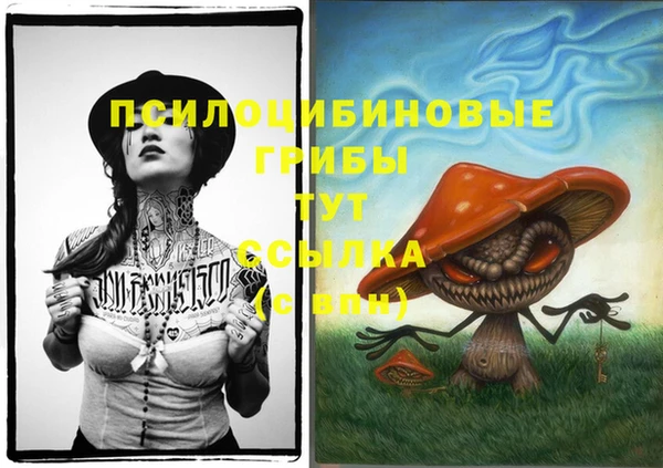 ALPHA PVP Богданович