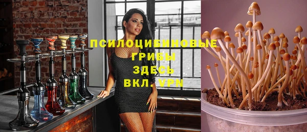 apvp Богородск