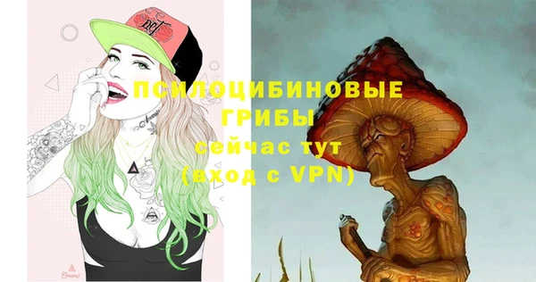 ALPHA PVP Богданович